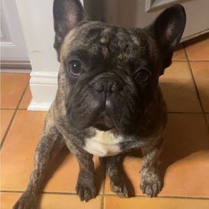 Meet your Posher, Bridget